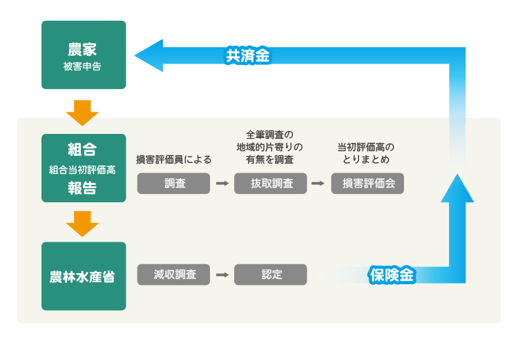 損害評価員の任命