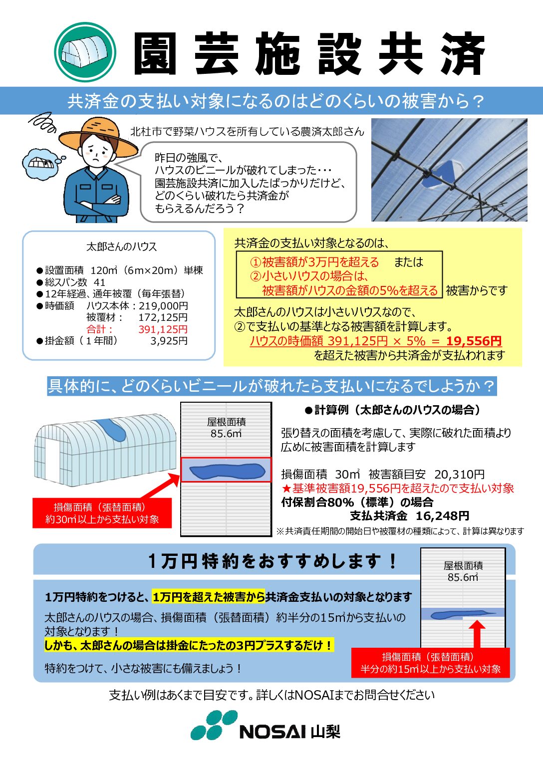 園芸施設共済｜NOSAI山梨
