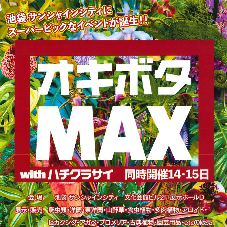 オキボタMAX｜NOSAI山梨