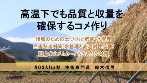稲作だより｜NOSAI山梨